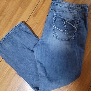 Silver Jeans Frances Bootcut Women Size 24 L 33 Distressed Medium Wash Plus Size